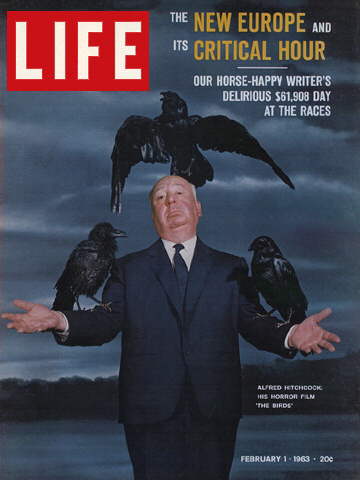 HITCHCOCK AND THE BIRDS
